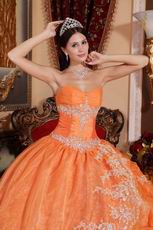 Where Can I Find 2014 Winter Quinceanera Dress Orange