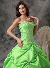 Spring Green Floor Length Ball Dress For Quinceanera Girls Like Princess