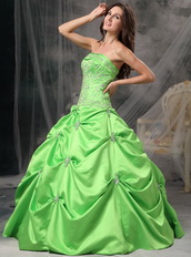 Spring Green Floor Length Ball Dress For Quinceanera Girls Like Princess