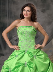 Spring Green Floor Length Ball Dress For Quinceanera Girls Like Princess