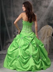 Spring Green Floor Length Ball Dress For Quinceanera Girls Like Princess