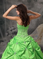 Spring Green Floor Length Ball Dress For Quinceanera Girls Like Princess