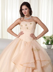 Champagne Organza Quinceanera Dress With Embroidery Emberllish Like Princess