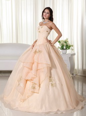 Champagne Organza Quinceanera Dress With Embroidery Emberllish Like Princess