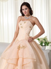 Champagne Organza Quinceanera Dress With Embroidery Emberllish Like Princess