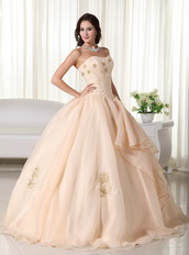 Champagne Organza Quinceanera Dress With Embroidery Emberllish Like Princess