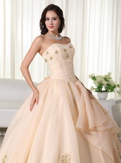 Champagne Organza Quinceanera Dress With Embroidery Emberllish Like Princess