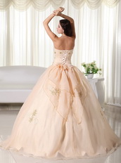 Champagne Organza Quinceanera Dress With Embroidery Emberllish Like Princess