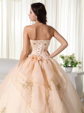 Champagne Organza Quinceanera Dress With Embroidery Emberllish Like Princess