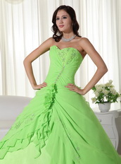 Spring Green Floor-length Chiffon Quinceanera Dress 2014 Like Princess