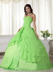 Spring Green Floor-length Chiffon Quinceanera Dress 2014 Like Princess