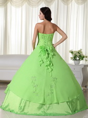 Spring Green Floor-length Chiffon Quinceanera Dress 2014 Like Princess