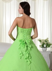 Spring Green Floor-length Chiffon Quinceanera Dress 2014 Like Princess