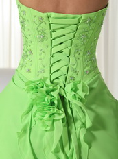 Spring Green Floor-length Chiffon Quinceanera Dress 2014 Like Princess