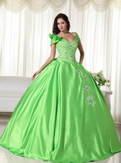 Spring Green Detachable Off Shoulder Straps Puffy Gowns Like Princess