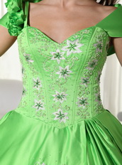 Spring Green Detachable Off Shoulder Straps Puffy Gowns Like Princess