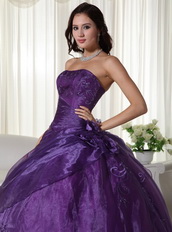 Nice Dark Purple Organza Quinceanera Gown With Embroidery Like Princess