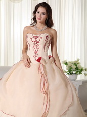 Champagne Pretty Quinceanera Dress Embroidery Decorate Like Princess