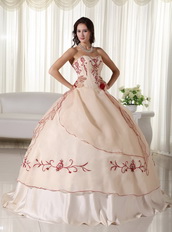 Champagne Pretty Quinceanera Dress Embroidery Decorate Like Princess