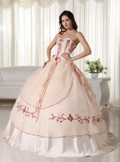 Champagne Pretty Quinceanera Dress Embroidery Decorate Like Princess