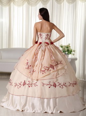 Champagne Pretty Quinceanera Dress Embroidery Decorate Like Princess