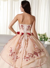 Champagne Pretty Quinceanera Dress Embroidery Decorate Like Princess