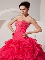 Best Fuchsia Organza Prom Dress For 2014 Junior Girl Wear Like Princess