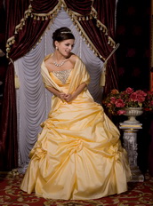 Mimosa Strapless Floor-length Tafftea Prom / Evening Dress Puffy Like Princess