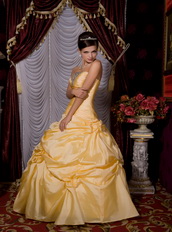 Mimosa Strapless Floor-length Tafftea Prom / Evening Dress Puffy Like Princess