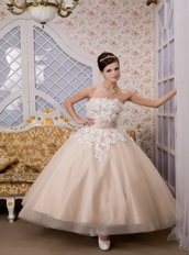 Strapless Ankle-length Tulle Appliques Champagne Quince Dresses Like Princess