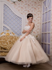 Strapless Ankle-length Tulle Appliques Champagne Quince Dresses Like Princess