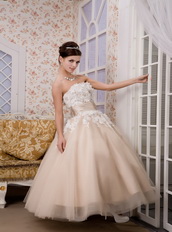 Strapless Ankle-length Tulle Appliques Champagne Quince Dresses Like Princess