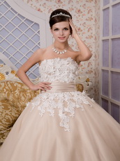 Strapless Ankle-length Tulle Appliques Champagne Quince Dresses Like Princess