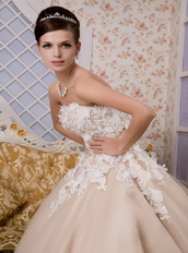 Strapless Ankle-length Tulle Appliques Champagne Quince Dresses Like Princess
