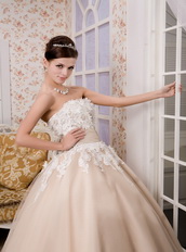 Strapless Ankle-length Tulle Appliques Champagne Quince Dresses Like Princess