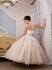 Strapless Ankle-length Tulle Appliques Champagne Quince Dresses Like Princess