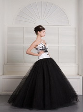 Black and White Ball Gown V-neck Floor-length Embroidery Quince Dress Like Princess