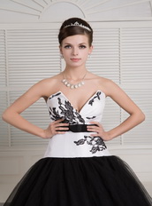 Black and White Ball Gown V-neck Floor-length Embroidery Quince Dress Like Princess