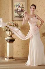 Column One Shoulder Watteau Train Baby Pink Prom Celebrity Dress