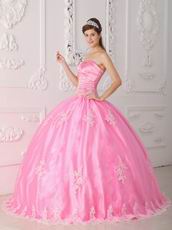 Lovely Strapless Ball Gown Floor Length Pink Skirt