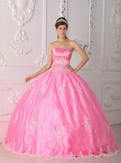 Lovely Strapless Ball Gown Floor Length Pink Skirt