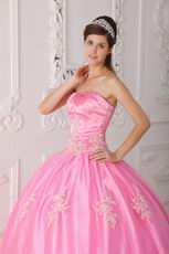 Lovely Strapless Ball Gown Floor Length Pink Skirt