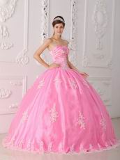 Lovely Strapless Ball Gown Floor Length Pink Skirt