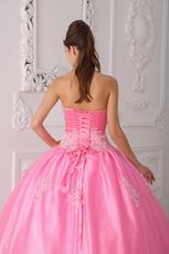 Lovely Strapless Ball Gown Floor Length Pink Skirt