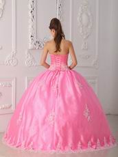 Lovely Strapless Ball Gown Floor Length Pink Skirt