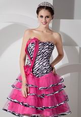 Hot Pink A-line Layers Short Skirt Sweet 16 Dress With Zebra
