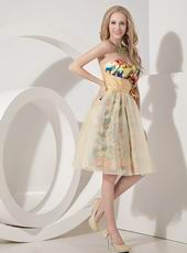 Colorful A-line Sweetheart Bowknot Printed Sweet Sixteen Dress