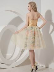 Colorful A-line Sweetheart Bowknot Printed Sweet Sixteen Dress