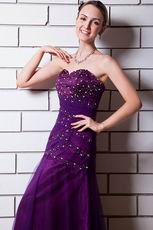 Beautiful Sweetheart Floor Length Pansy Evening Dress