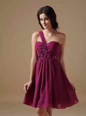 Plum One Shoulder Bridesmaid Dress For 2014 Wedding